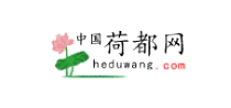中国荷都网logo,中国荷都网标识