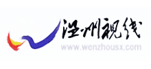 温州视线logo,温州视线标识