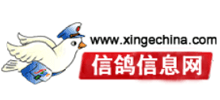 信鸽中国网Logo