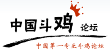 中国斗鸡论坛logo,中国斗鸡论坛标识