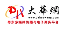 大华网Logo